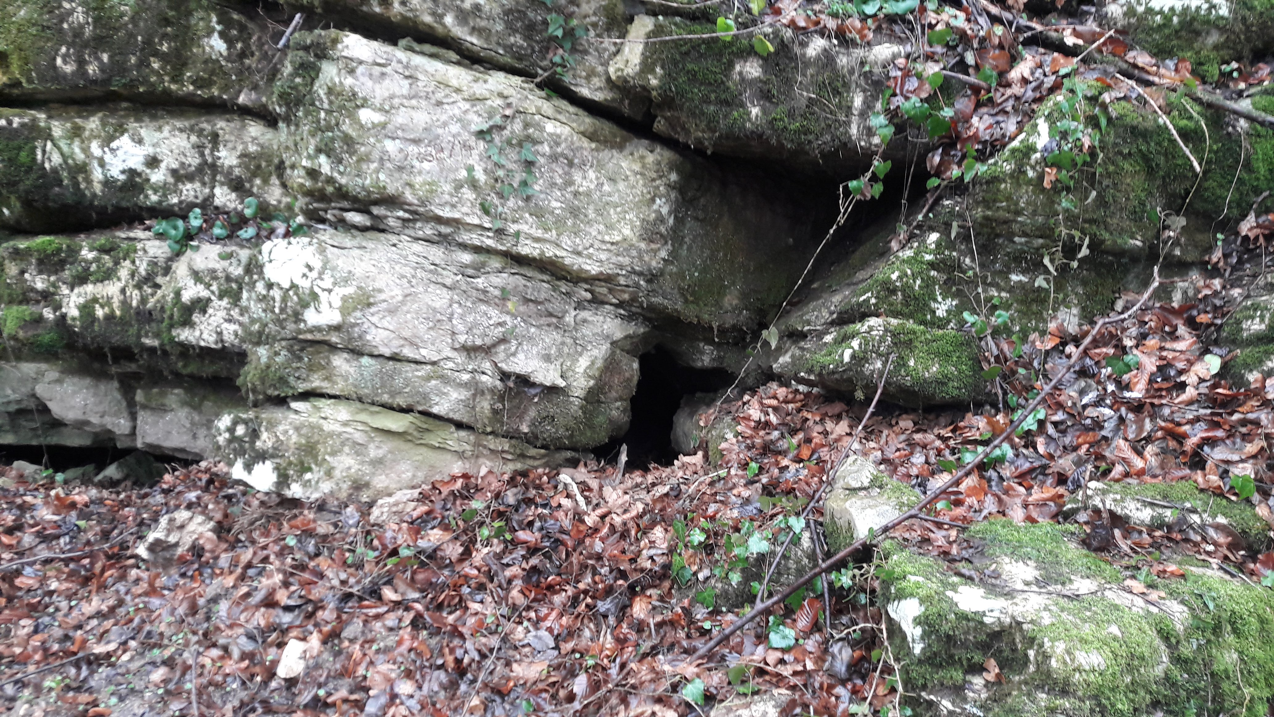 Pestera Nr.1 din Valea Raicovacia - Image 1